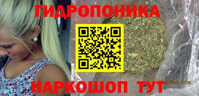 молекула духа Тверь