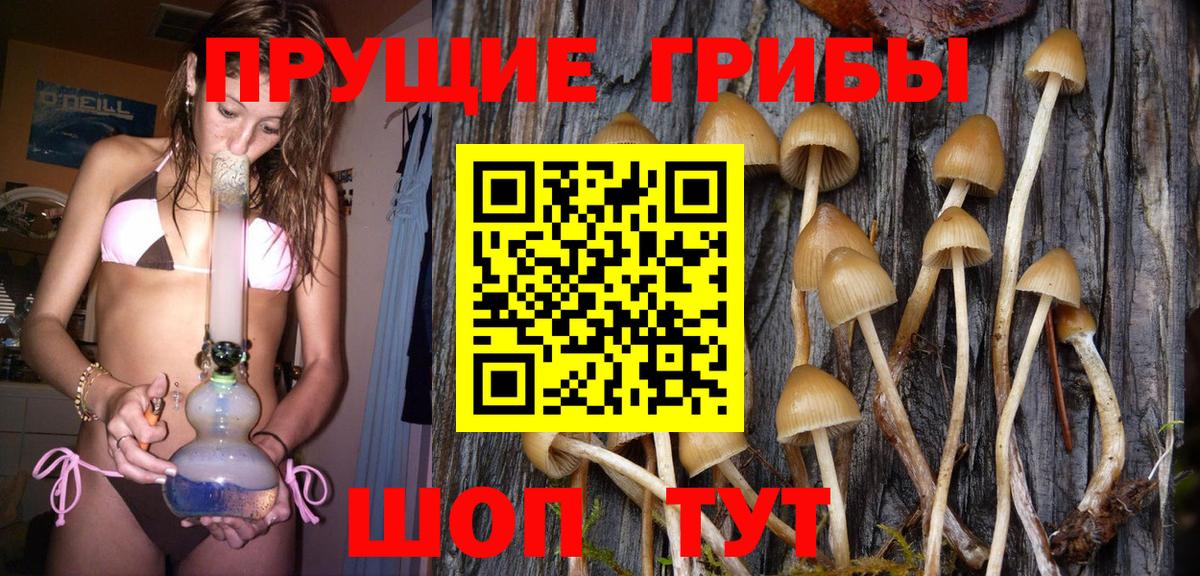 ГАШ Усть-Джегута