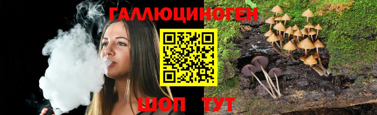 Усть-Джегута  Псилоцибиновые грибы MAGIC MUSHROOMS  Вход с VPN  Псилоцибиновые грибы прущие грибы 
